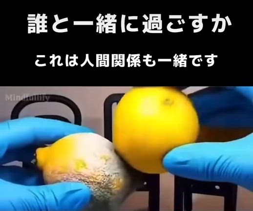 誰と過ごしますか？の記事動画