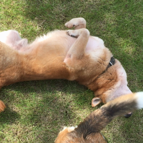 ゆう君テンションψ(｀∇´)ψの画像