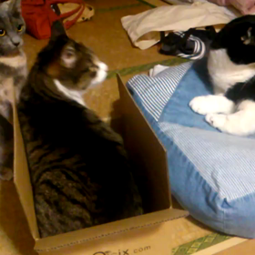 はじめましての画像