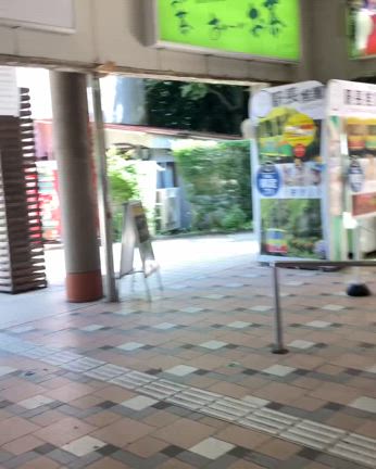 2024/09/03の記事動画