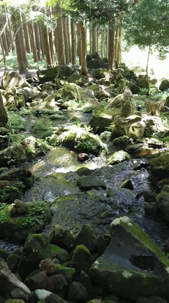 【胴腹の滝】の名水でお腹が治った✨の記事動画