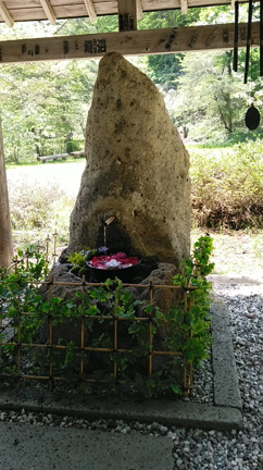 ②識子さんファンと出逢えた【安久津八幡神社  奥の院】の記事動画