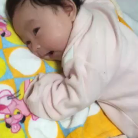 動画の画像