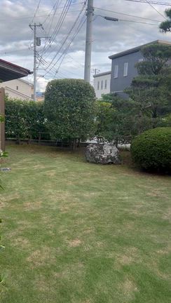 お墓参りからの庭の草取りの記事動画