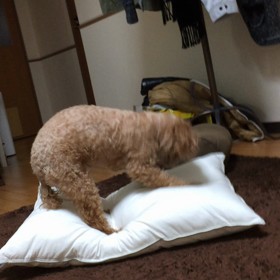 2015/02/27の画像