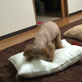 お前の墓を掘ってやる！グヘヘ〜の画像