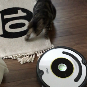 猫VSルンバの画像