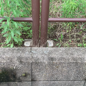 7月8日の入力の画像