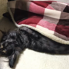 まとめてぶっこんどいてやったよの画像