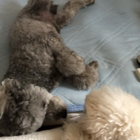 起きて〜。 の画像