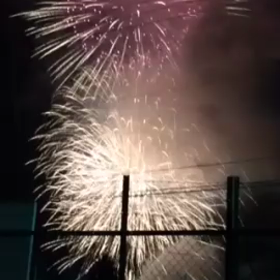 動画…!!の画像