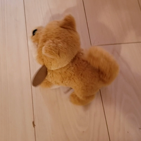 スミマセンでしたっ！！！　&　ありがとうございます❣️の画像