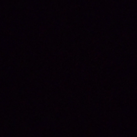 ホタルが我が家に！の画像