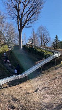 北風が吹く公園コーデで失敗したこと...♪*ﾟの記事動画