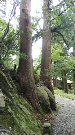 鳥取　大神山神社奥宮への記事動画