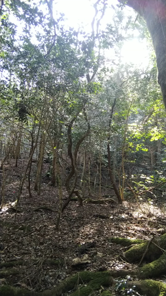 たまには息抜きの記事動画