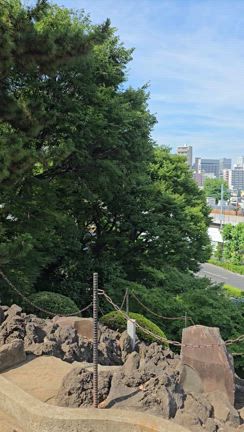 『夏越の大祓へ。半年分の穢れを祓って、心も体もすっきり』の記事動画