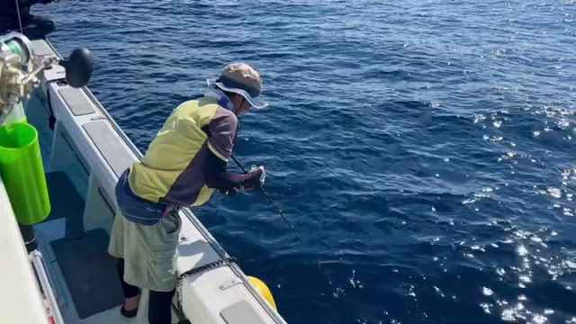 室戸岬沖海戦、かく闘えり!?の記事動画