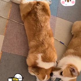 2024/09/09の画像