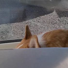 2024/11/23の画像