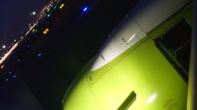 3月11日リンちゃ〜ん♡うちのこ記念日と帰宅後ギョギョギョ!!の記事動画
