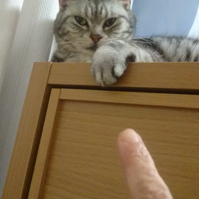 反撃？の画像