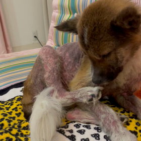 やっと出た！の画像