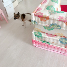 ごはんの時間のそら豆君の画像