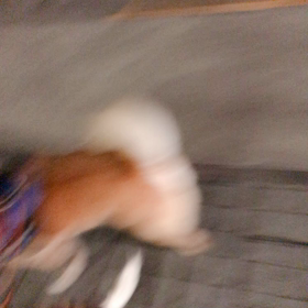 復活‼️の画像