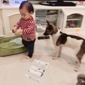 何でもあげる王様❣️の画像