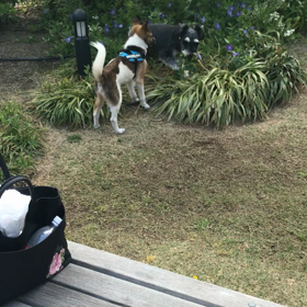 お友達出来た‼️の画像