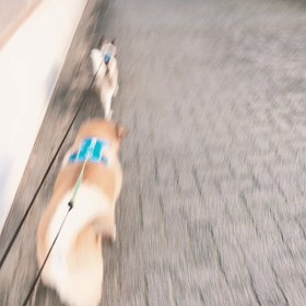 2020年 初日の出と共にの画像