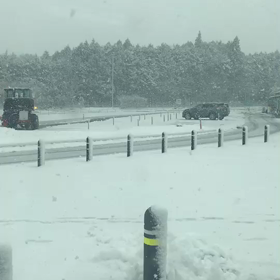 大雪の中。。。の画像