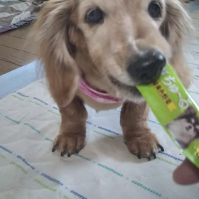 美味しいっ❗️の画像