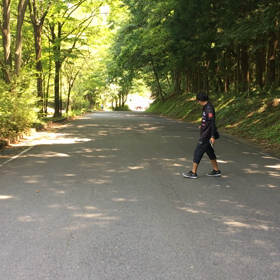 本練習の画像