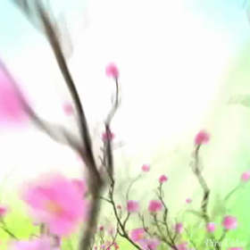 動画の画像
