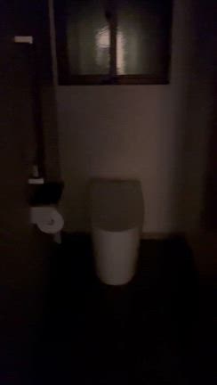 築26年トイレリフォーム。の記事動画