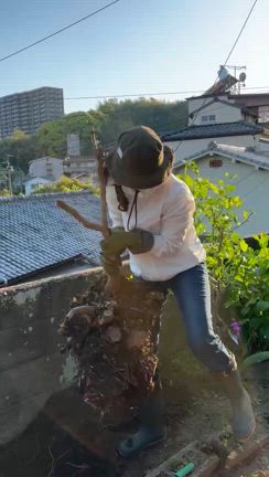 友人の実家 ツツジ抜根。の記事動画