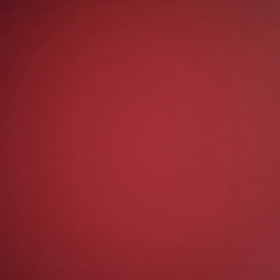 リアルタイムの画像