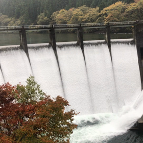 再燃！！（追記～ももきち、ﾀﾞﾑ愛を語る）の画像