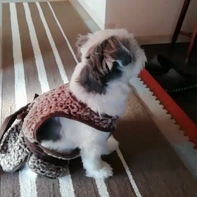 ねっの画像