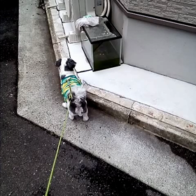 ちょっとこわい((( ；ﾟДﾟ)))の画像