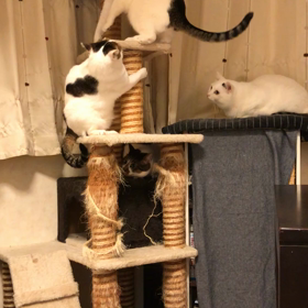 我が家の自然な光景。の画像