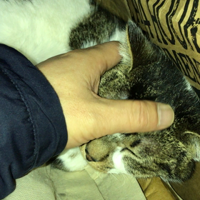誰にも分からない。の画像