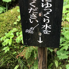 安らぎと幸せな二つの音。の画像