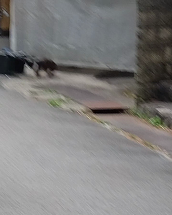 不幸な命が増えないように‥の記事動画