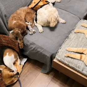 皆んな大集合の画像