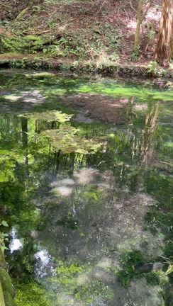 三連休　その3の記事動画