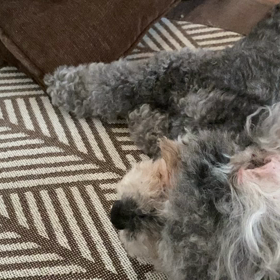 おっ♬の画像