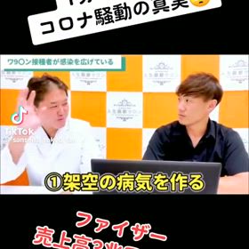 ヤラセの分かりやすい説明の画像